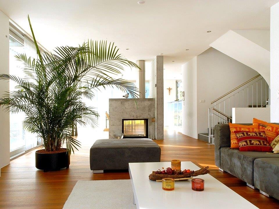 efh rieder vogel naters